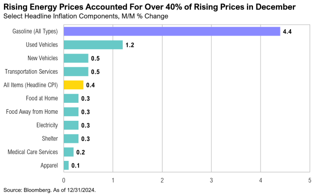 Bar chart of December inflation components 2024.