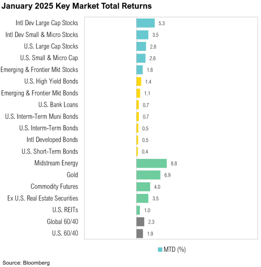 Bar chart of January 2025 market returns by sector.