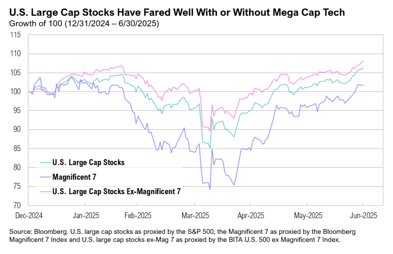 U.S. Large Cap Stocks vs Magnificent 7 performance graph.