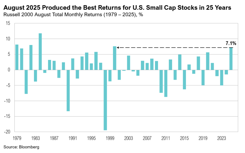 Chart showing U.S. small cap stocks returns, 1979-2025.