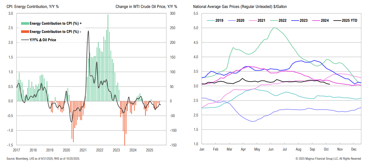 Graphs of energy CPI and gas prices, 2019-2025.