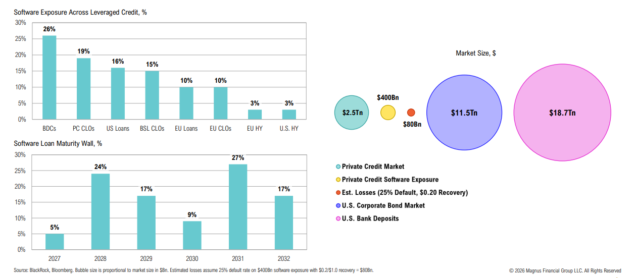 Software exposure and loan maturity market comparison chart